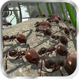 Ant Simulation 3D - Insect Survival Game