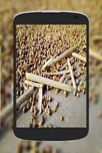 Camera For Nokia screenshot 3