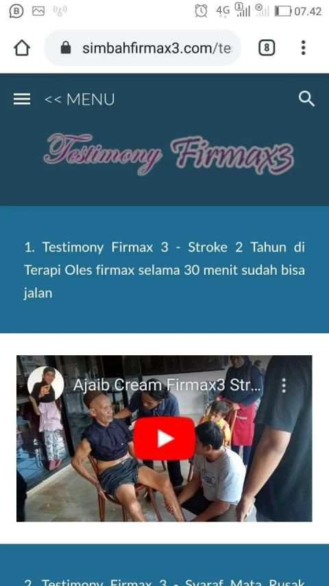 FIRMAX3 screenshot 3