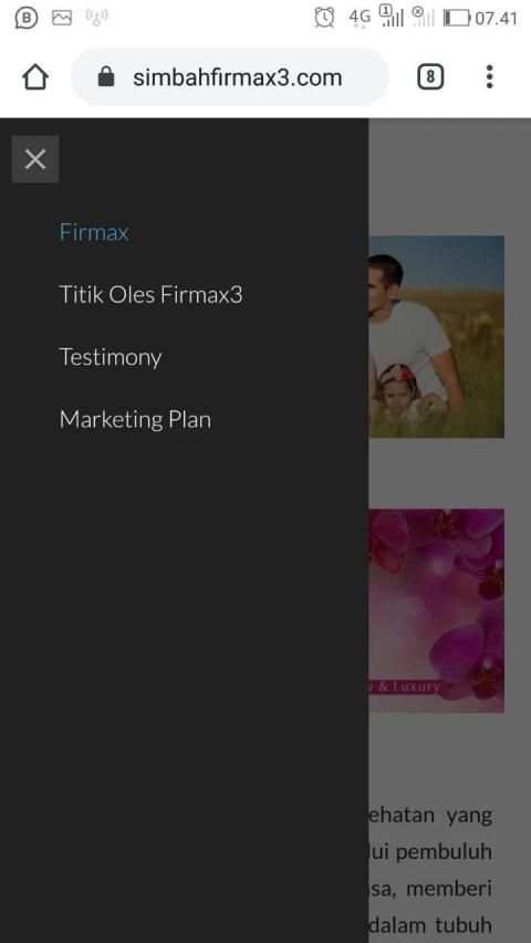 FIRMAX3 screenshot 2
