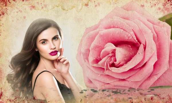 Rose Flower Photo Frames screenshot 1