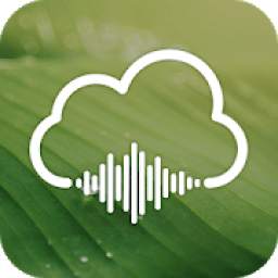 Rainy Sounds - Relaxing Sleep Music