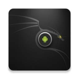 Kali Linux 3.1