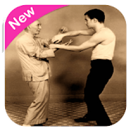 Wing Chun Kung Fu icon