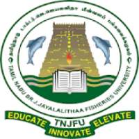 Geometrical Calculator