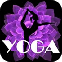 Daily Yoga App Video Free