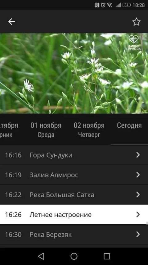 Ufanet TV (Для смартфонов и планшетов) screenshot 5