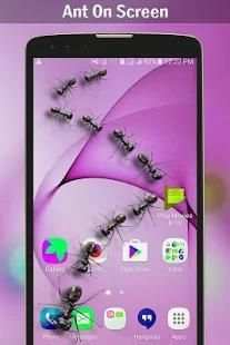 Ant on screen screenshot 2