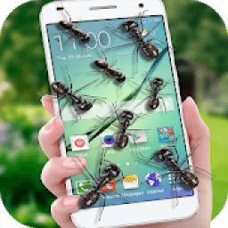 Ant on screen أيقونة