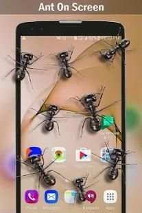 Ant on screen screenshot 1
