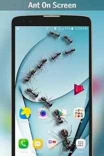 Ant on screen screenshot 4