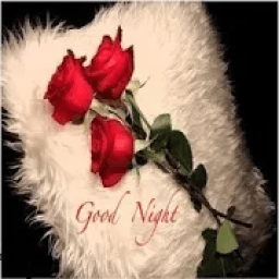 Good night Gif आइकन