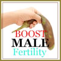 Foods That Boost Male Fertility