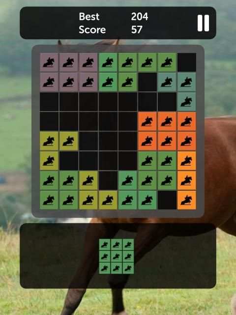 Horse Blocks - Puzzle Games screenshot 1