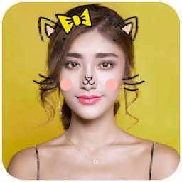 Cat Face - Photo Editor 360