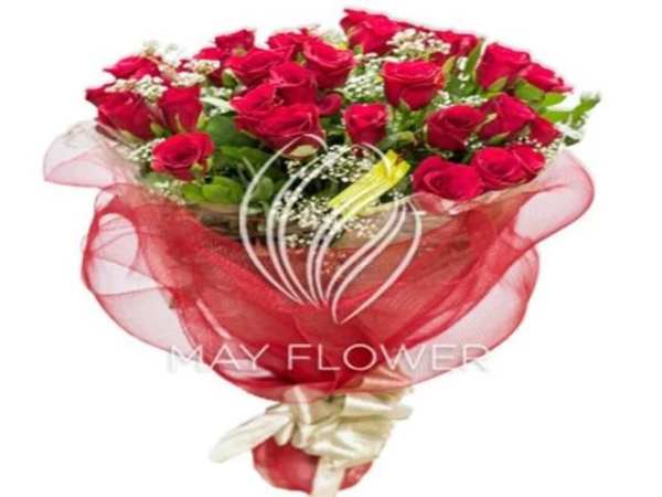 Red rose screenshot 3