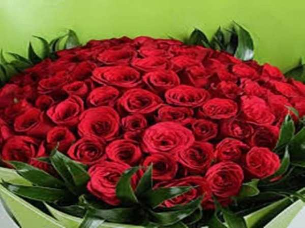 Red rose screenshot 4