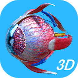 ikon Anatomy Human Eye