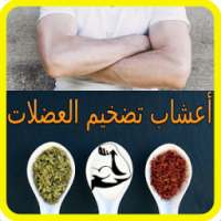 أعشاب تضخيم العضلات