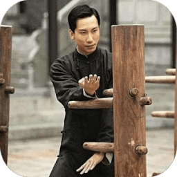 ikon Wing Chun Training