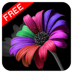 Auto Color Splash Pixel icon