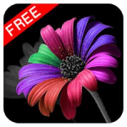 Color Splash Pixel 1.0