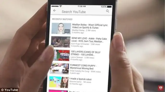 youtube video downloader screenshot 3