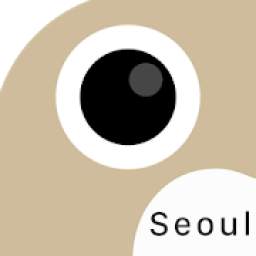Analog Seoul