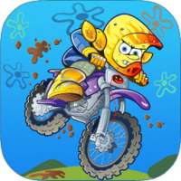 Sponge's bike Adventure Racing Bob