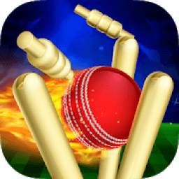 RunOut Master - 3D Cricket