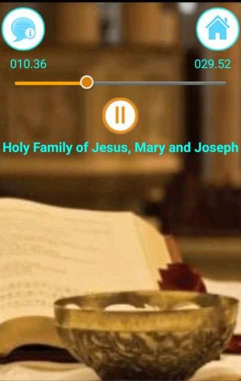 Catholic Mass (Offline Audio) screenshot 2