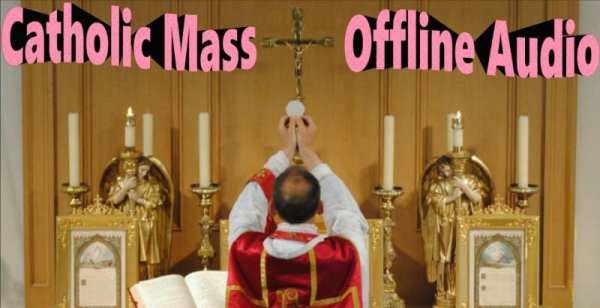 Catholic Mass (Offline Audio) screenshot 5