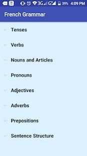 Basic French grammar (Offline) screenshot 4