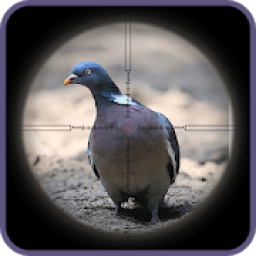 Sniper Pigeon Hunting 3D icon