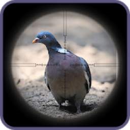 Sniper Pigeon Hunting 1.0