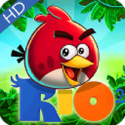 ikon angry HD wallaper for bird