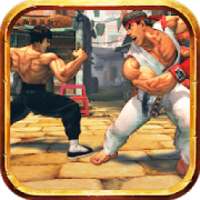 Karate Kick Fighting: Tiger Fighters