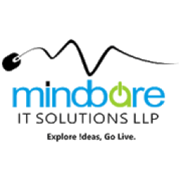 ikon Mindbare IT Solutions LLP