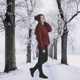 Snowfall Photo Frames आइकन