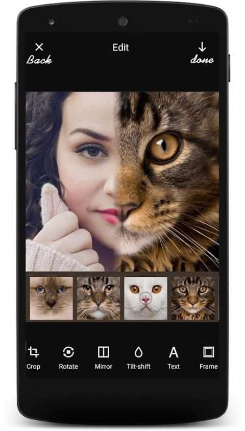Insta Animal Funny Face स्क्रीनशॉट 9