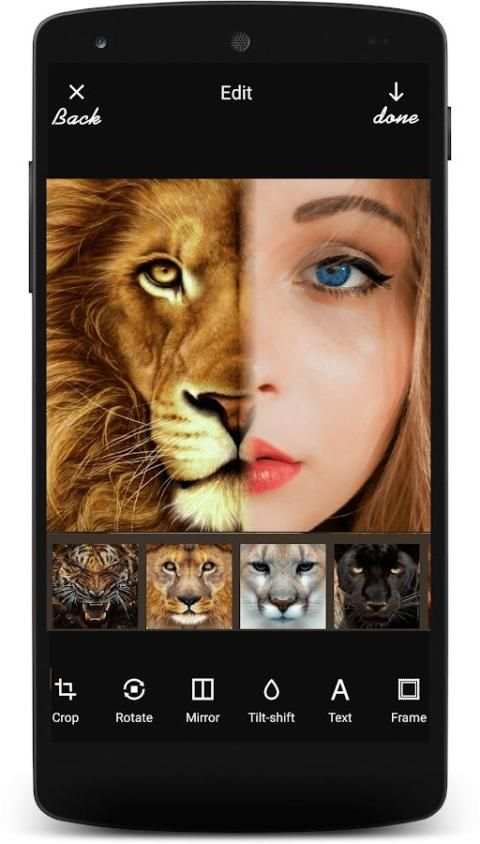 Insta Animal Funny Face स्क्रीनशॉट 4