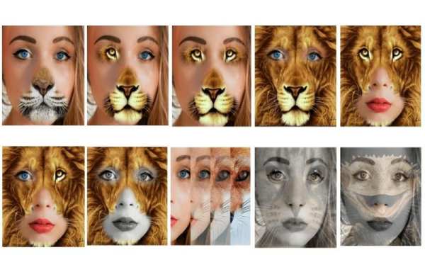 Insta Animal Funny Face screenshot 2