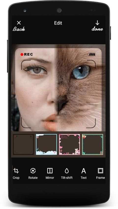 Insta Animal Funny Face स्क्रीनशॉट 5