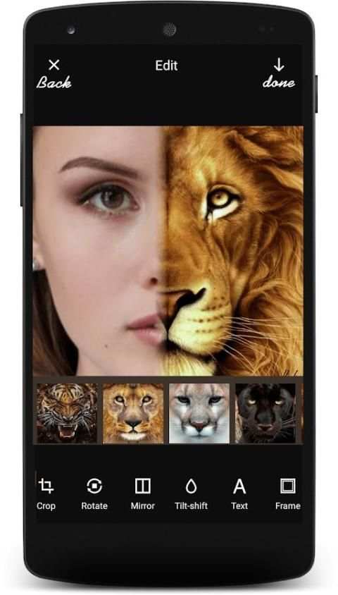 Insta Animal Funny Face स्क्रीनशॉट 8