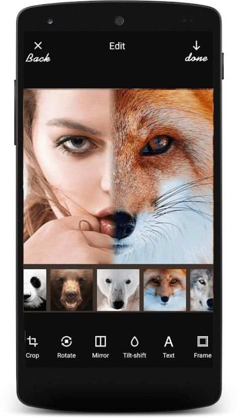 Insta Animal Funny Face screenshot 7
