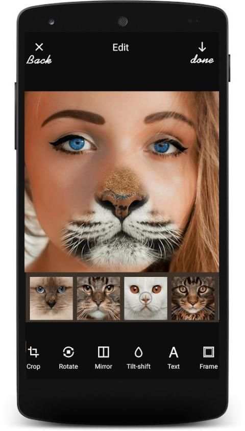 Insta Animal Funny Face स्क्रीनशॉट 6