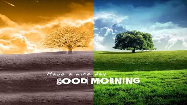 Good Morning Image screenshot 15