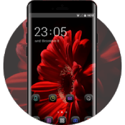 Spring flowers theme pure आइकन