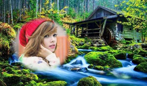 Garden Photo Frame Editor screenshot 5