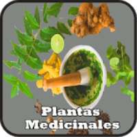 Medicinal Plants and Natural on 9Apps